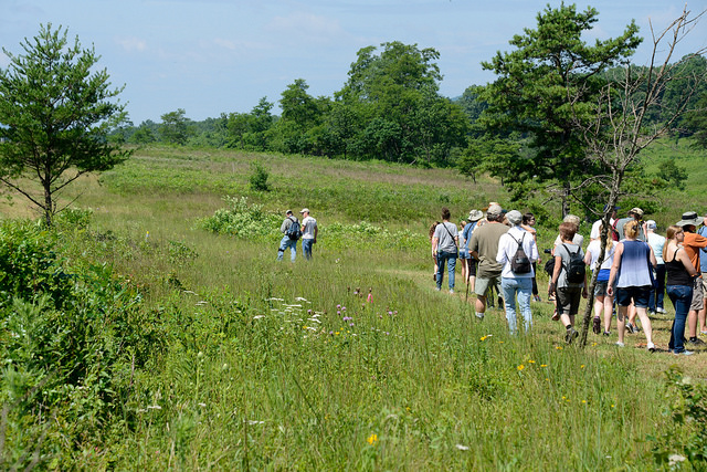 people walking in a group on a guided tour through an environmental area at Fort Indiantown Gap in Lebanon County, PA